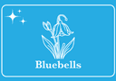 BLUEBELLS