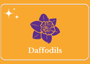 DAFFODILS