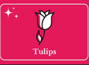 TULIPS